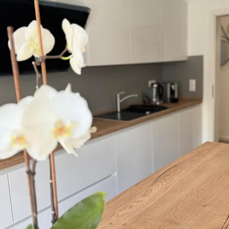 Mahesars Апартаменты *