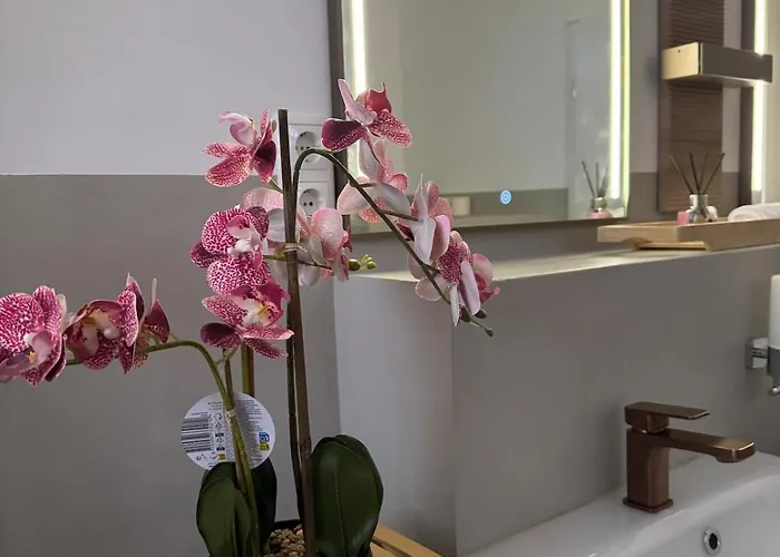 Mahesars Apartament *